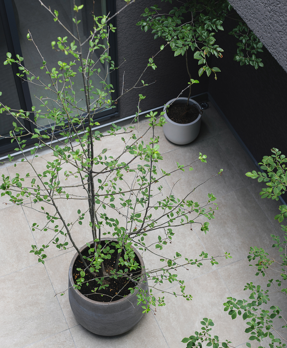 建築家の発想にふれる