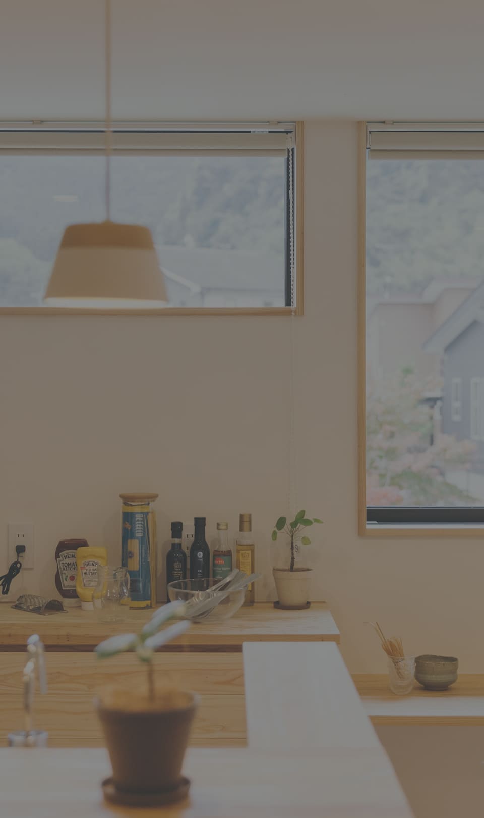 おばま工務店の平屋