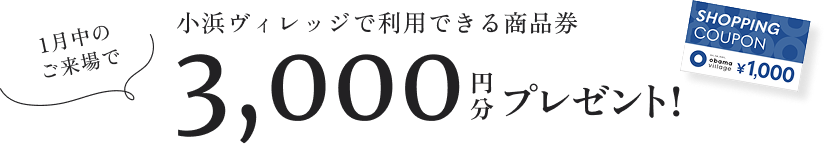 小浜ヴィレッジで利用できるクーポン券3,000円分プレゼント!