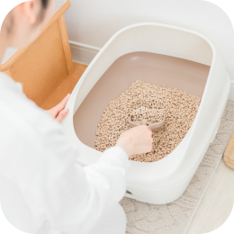 猫のトイレのにおいのイメージ画像